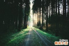 如何从体温判断排卵期