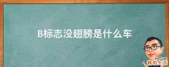 B标志没翅膀是什么车