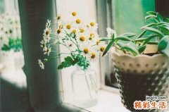 冠心病发作什么症状