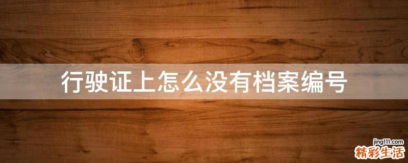 行驶证上怎么没有档案编号