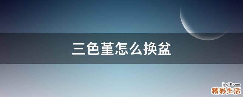 三色堇怎么换盆