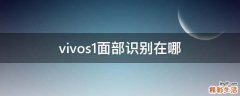vivos1面部识别在哪