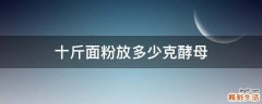 十斤面粉放多少克酵母