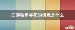 江畔独步寻花的诗意是什么