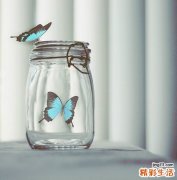 系统性红斑狼疮 患者可以怀孕吗？