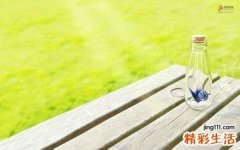 3 粗榧枝叶