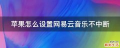 苹果怎么设置网易云音乐不中断