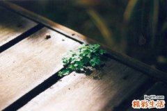 简单的颈部按摩手法