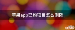 苹果app已购项目怎么删除