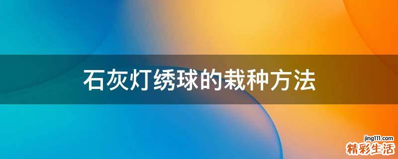 石灰灯绣球的栽种方法