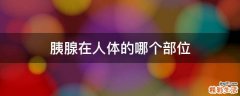 胰腺在人体的哪个部位