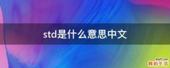 std是什么意思中文