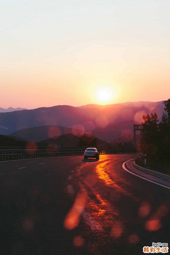 沙漠肉苁蓉怎样储存