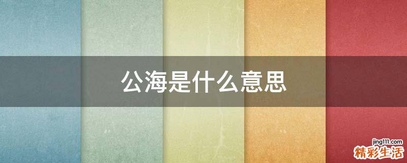 公海是什么意思