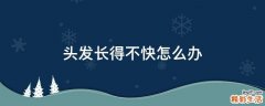 头发长得不快怎么办