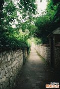 青风藤的鉴别