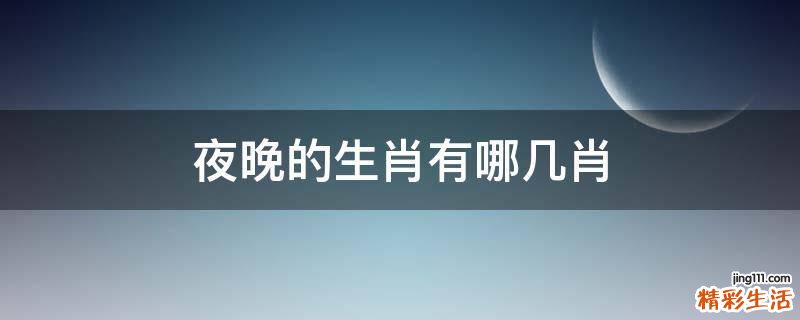 夜晚的生肖有哪几肖