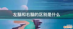 左脑和右脑的区别是什么