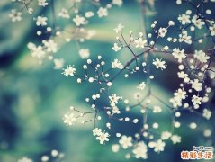 脸上起红块是怎么回事