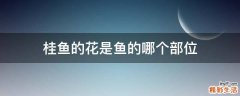 桂鱼的花是鱼的哪个部位