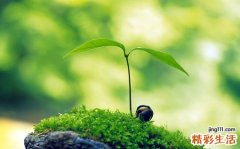 修复神经损伤的药物
