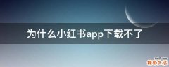 为什么小红书app下载不了