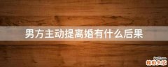 男方主动提离婚有什么后果