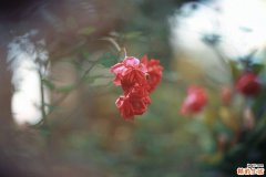 广东腊八节有什么禁忌