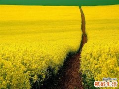 哈尔滨春节的注意事项