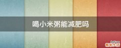喝小米粥能减肥吗