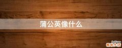 蒲公英像什么