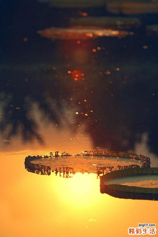 按什么穴位可以退烧