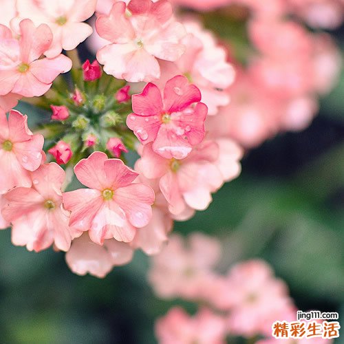 导致精神分裂的5大因素