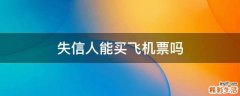 失信人能买飞机票吗