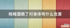 杨梅酒喝了对身体有什么危害