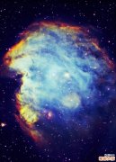 猫耳朵草的药用价值_猫耳朵草的副作用