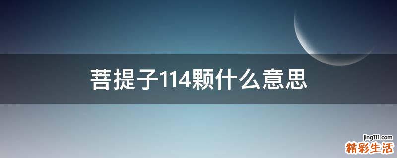 菩提子114颗什么意思