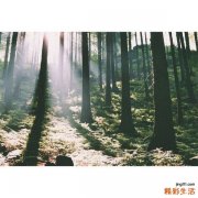 咽部不适是鼻咽癌吗