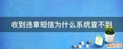 收到违章短信为什么系统查不到