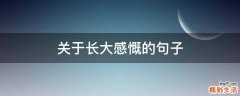 关于长大感慨的句子