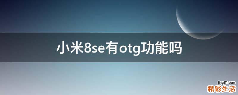小米8se有otg功能吗