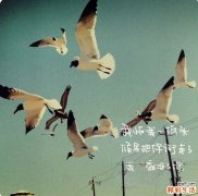 恢复卵巢功能吃什么药