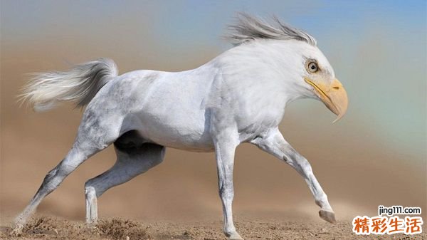 人参能提高免疫力吗