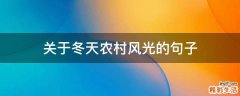 关于冬天农村风光的句子