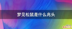 梦见松鼠是什么兆头