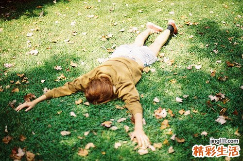 5 杜鹃花