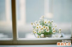 冬季滋补润肺吃什么
