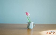 女性冬季怕冷该吃什么