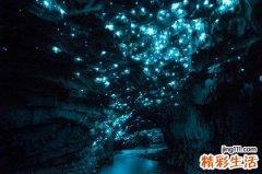 肝囊肿按什么穴位最好