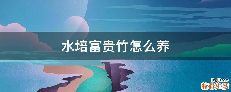 水培富贵竹怎么养